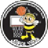 https://img.uxchameleon.com/img/basketball/team/e416830f4083698237c559f8988ddb25.png